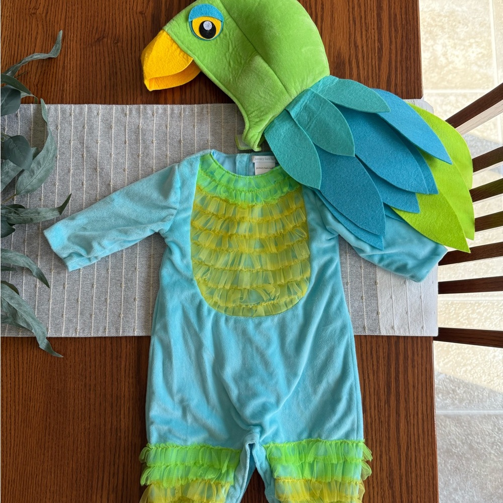 Pottery Barn Kids Green and Blue Parrot Costume